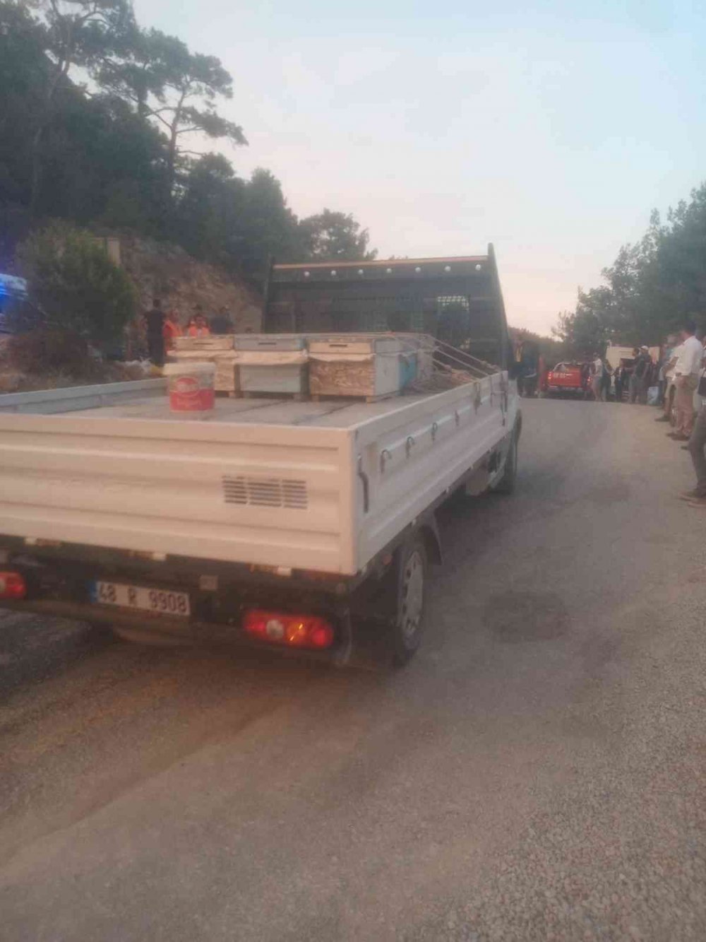 Datça'da mahsur kalan hayvanlar ve arı kovanlarının tahliyesi yapıldı