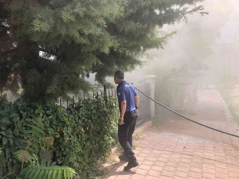 Karaman'da korkutan yangın! İl Sağlık Müdürlüğü bahçesinde kamelya tutuştu