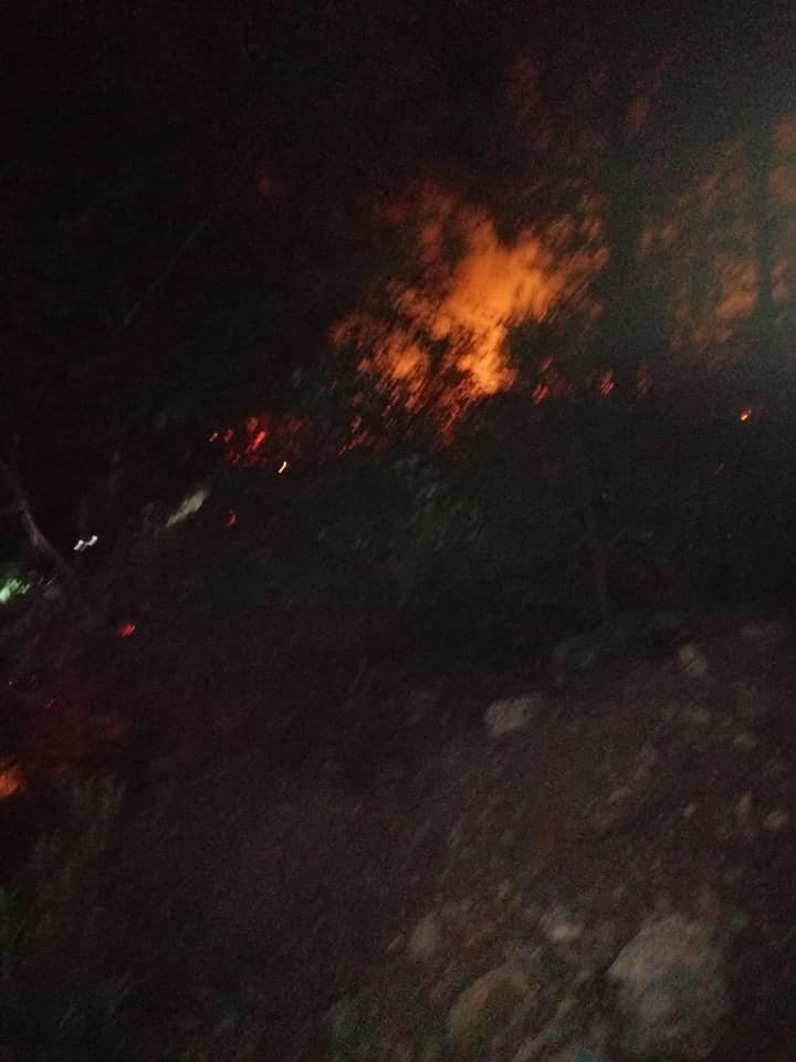 Adana'da 6 ayrı noktada art arda çıkan orman yangınları kontrol altında