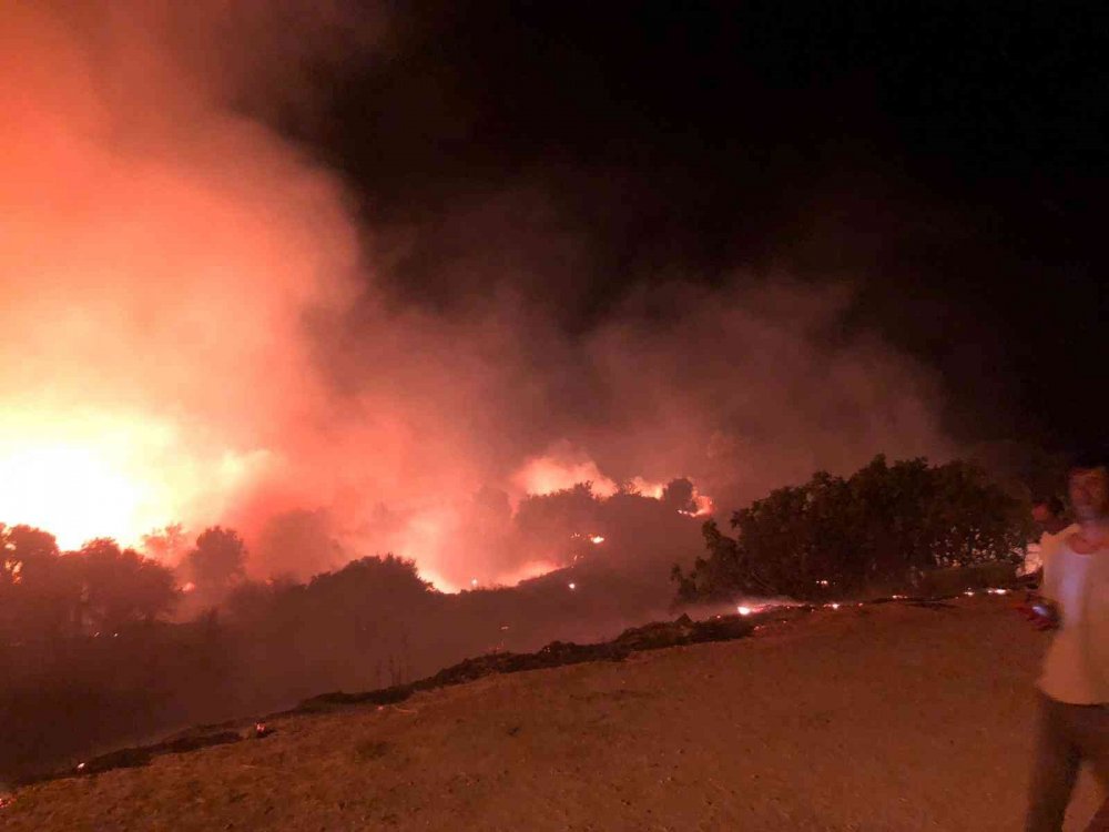 Çeşme'de korkutan yangın! Çok sayıda itfaiye ekibi ve TOMA aracı müdahale ediyor