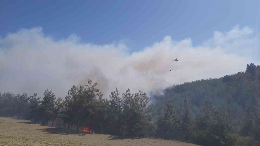 Manisa Gördes'te orman yangını! Havadan ve karadan çok sayıda ekip müdahale ediyor