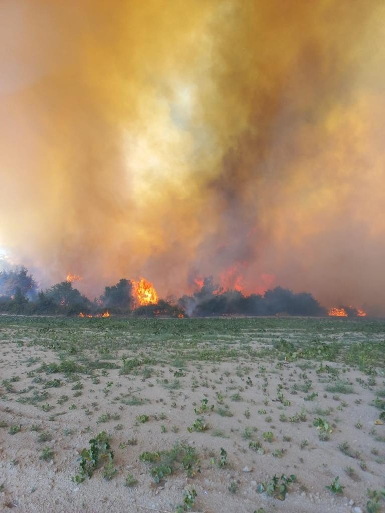 Manisa Gördes'te orman yangını! Havadan ve karadan çok sayıda ekip müdahale ediyor