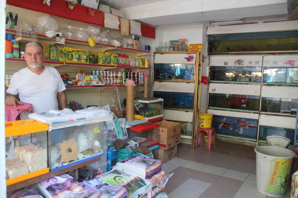 İlginç gelişme! Ülke genelindeki petshoplar Kasaplar Odası’na bağlandı