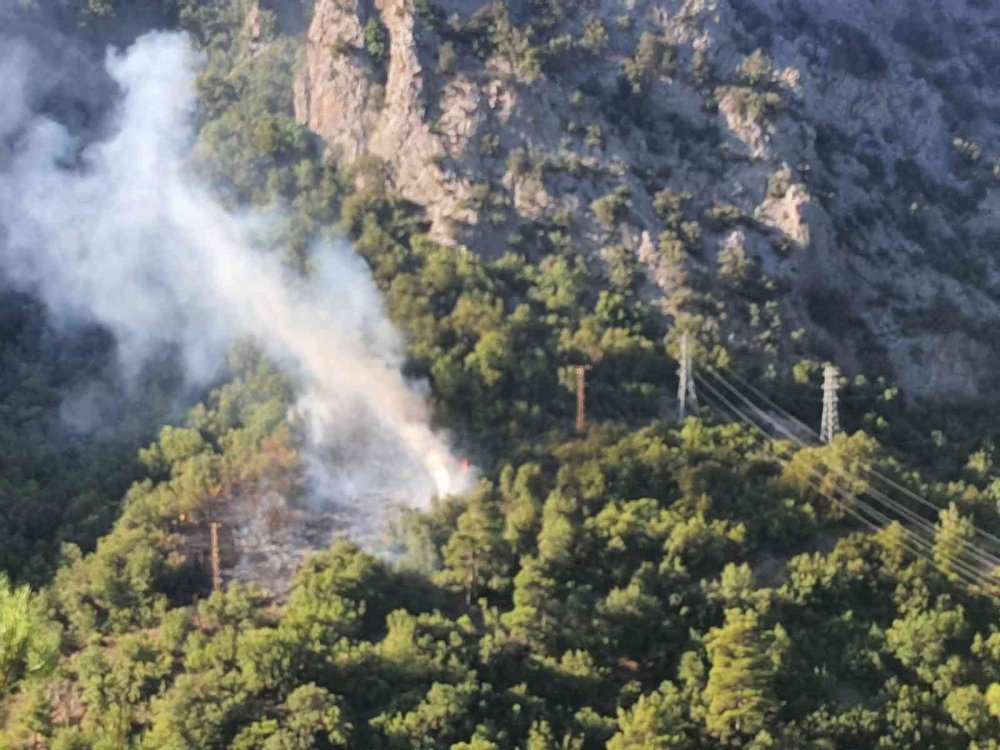 Adana'da orman yangını! Havadan ve karadan kontrol altına alındı