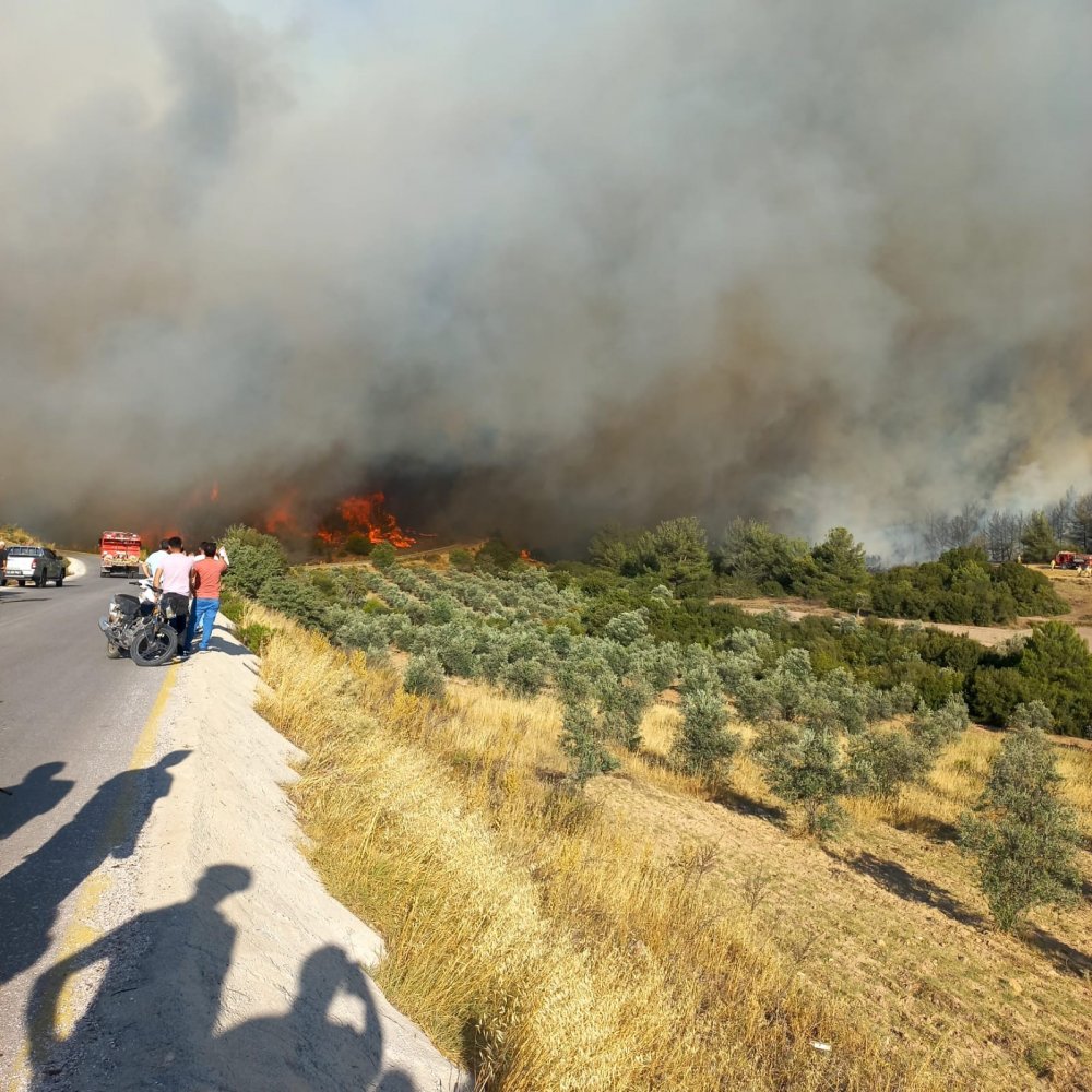 Manisa’da orman yangını! Ekipler seferber oldu 20 ev boşaltıldı, 40 kişi tahliye edildi