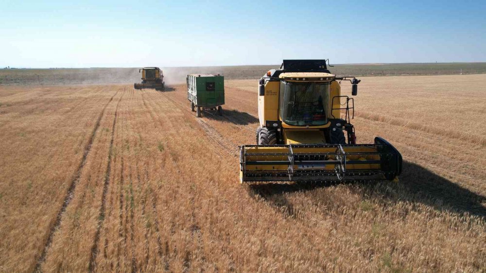 Konya'nın atıl arazileri üretime kazandırıldı! Geliri sosyal desteklere gidiyor
