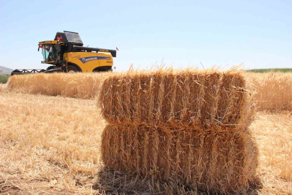 Karaman ovasında son buğday hasadını Vali Akkoyun yaptı