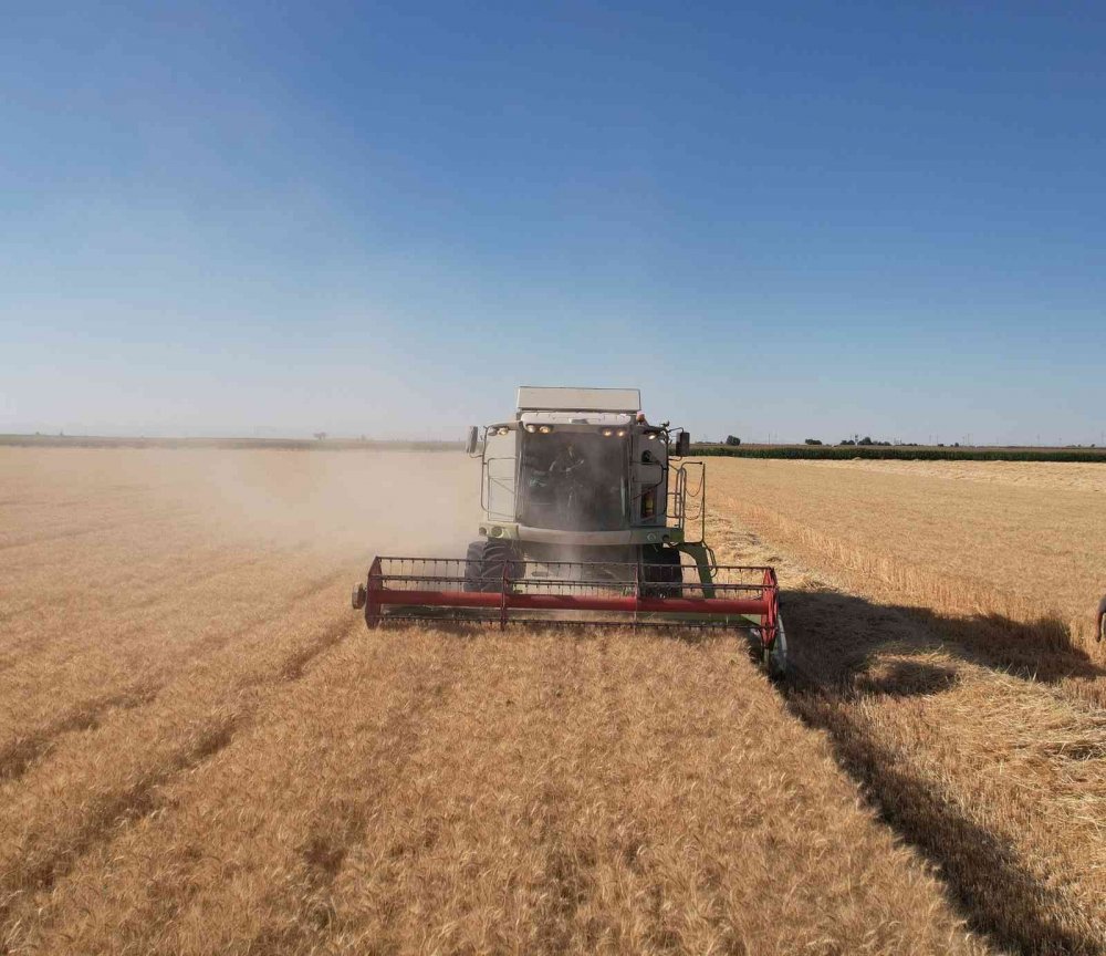 Başkan Altay: Konya'nın üretiyor olması Türkiye'nin gıda güvenliği açısından çok önemli