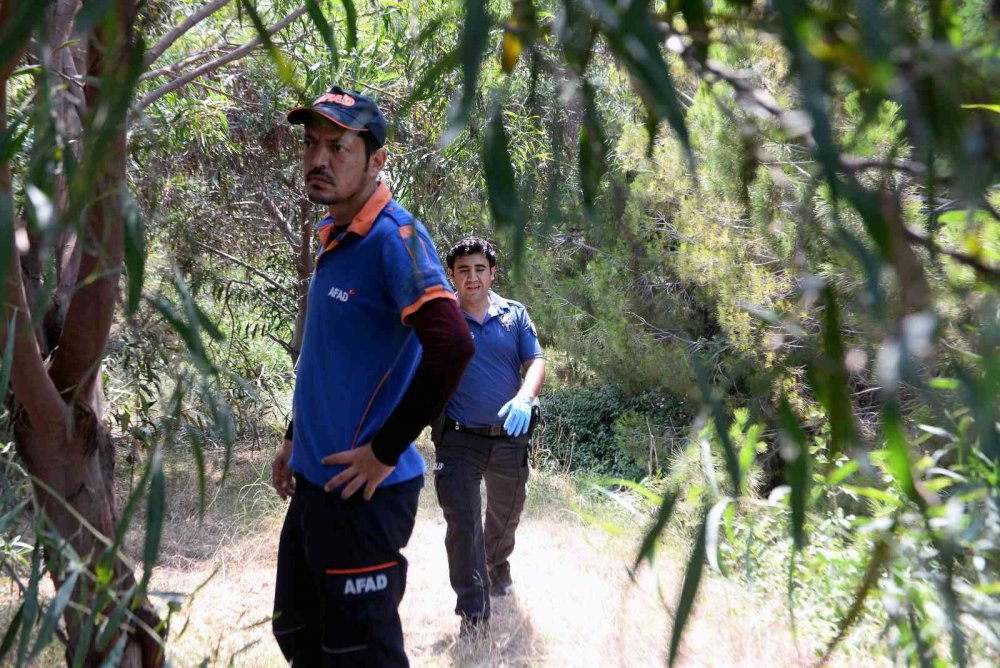 Hastanede kaybolan ve 7 gündür aranan Rahime Atay'ın cesedi ormanda bulundu