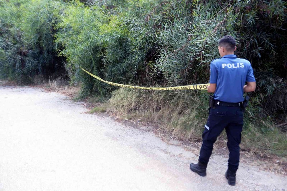 Hastanede kaybolan ve 7 gündür aranan Rahime Atay'ın cesedi ormanda bulundu