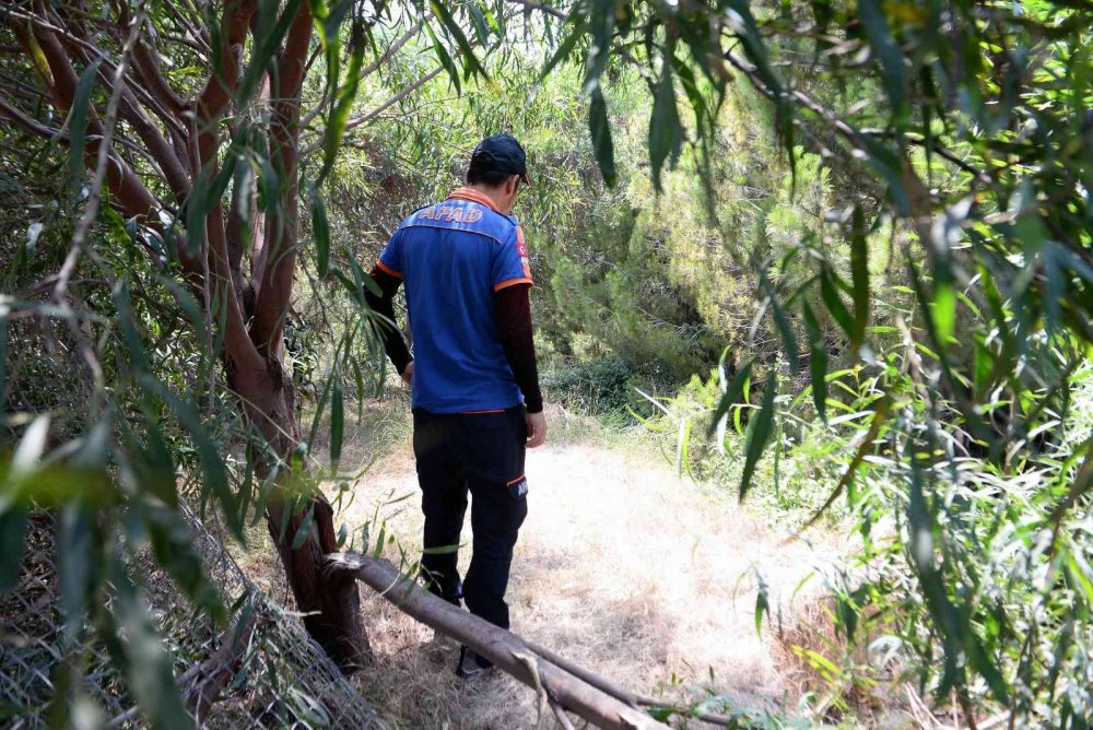 Hastanede kaybolan ve 7 gündür aranan Rahime Atay'ın cesedi ormanda bulundu