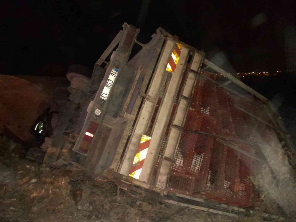 Tavuk yüklü kamyon seranın üstüne düştü! Kabinde sıkışan sürücü için seferber oldular
