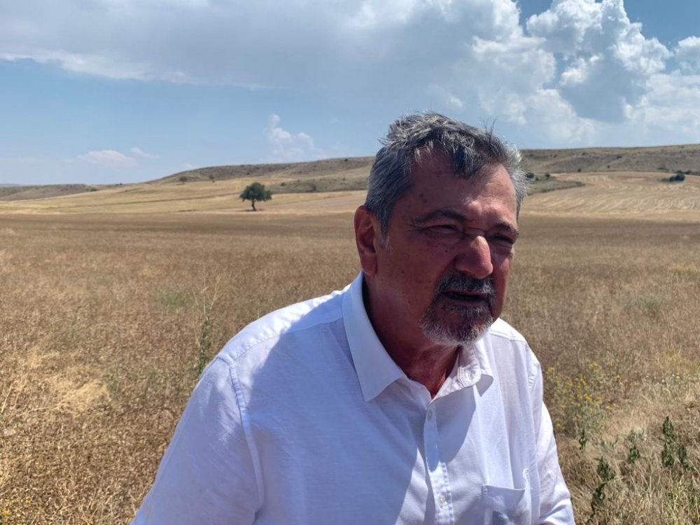 Konya'da da yetişiyor! Yerli ve milli nadas bitkisi 'pelemir'den jet yakıtı üretilecek