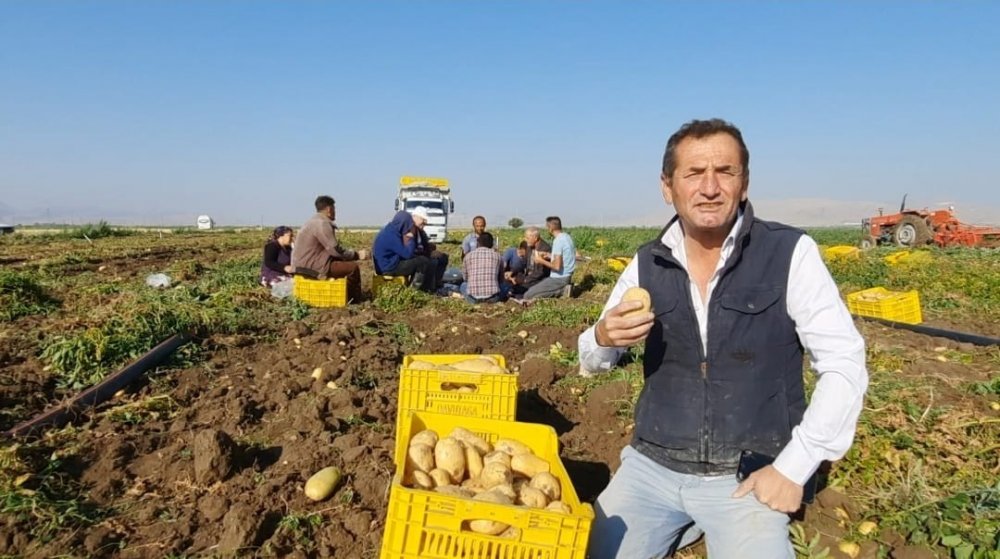 Patateste rekolte yüzleri güldürdü! Üretici fiyattan memnun
