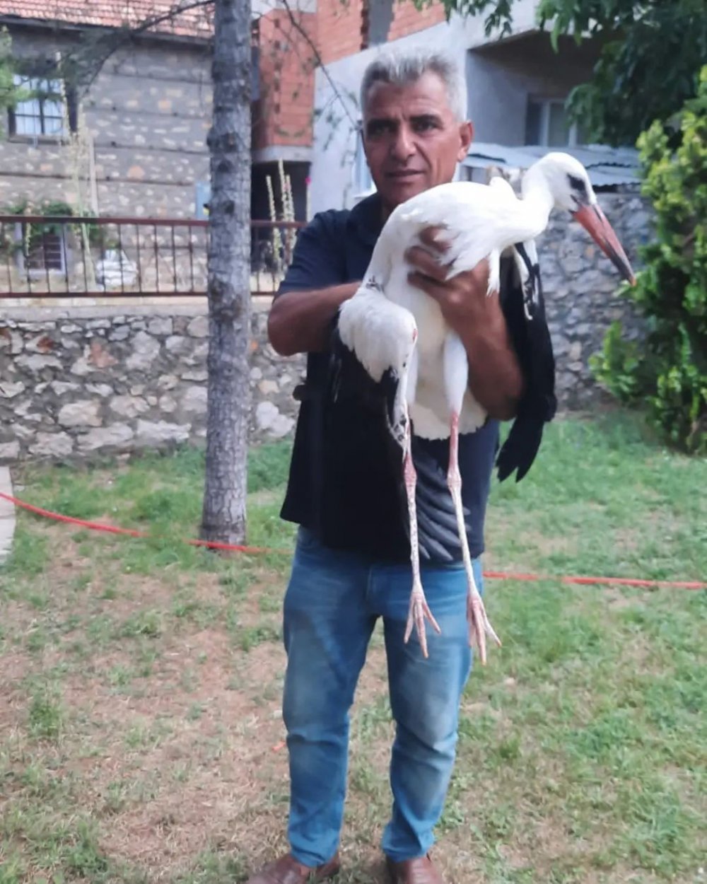 Konya'da bulunan yaralı leylek tedavi edilip koruma altına alındı