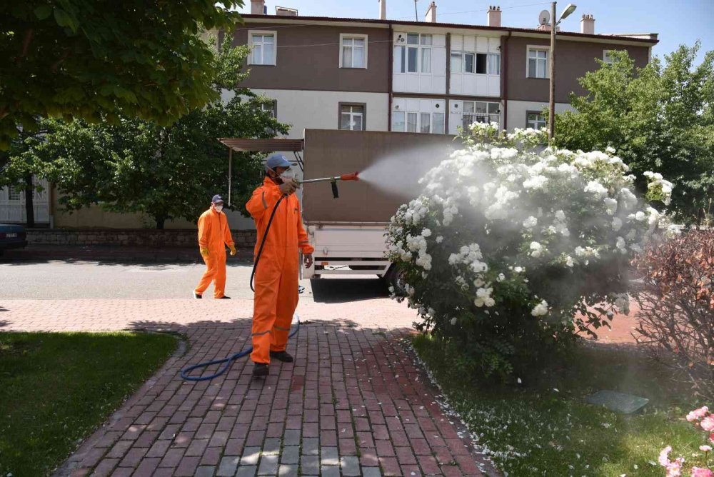 Konya Selçuklu’da haşere ve sinek mücadelesi! İlaçlama çalışmaları sürüyor