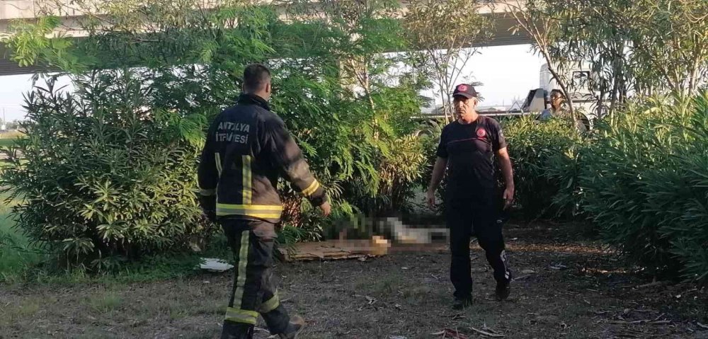 Manavgat'da yeşil alanda 3 günlük ceset bulundu