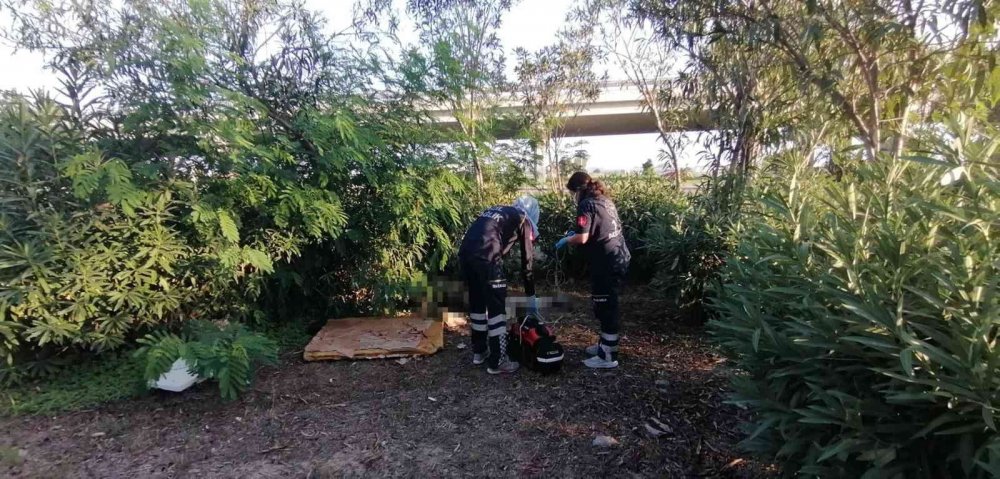 Manavgat'da yeşil alanda 3 günlük ceset bulundu