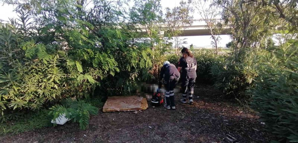 Manavgat'da yeşil alanda 3 günlük ceset bulundu