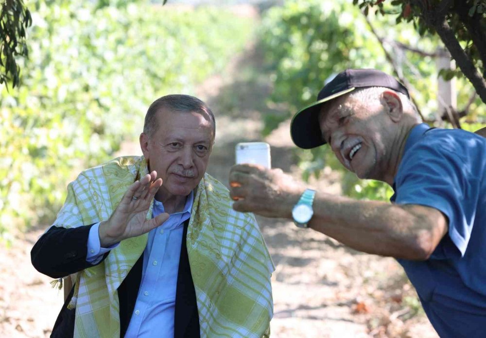 Cumhurbaşkanı Erdoğan Manisa'da bağa girip üzüm hasadı yaptı