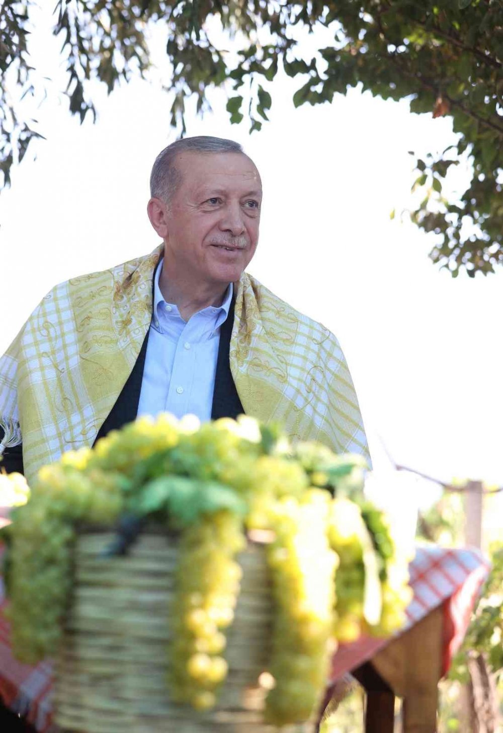 Cumhurbaşkanı Erdoğan Manisa'da bağa girip üzüm hasadı yaptı