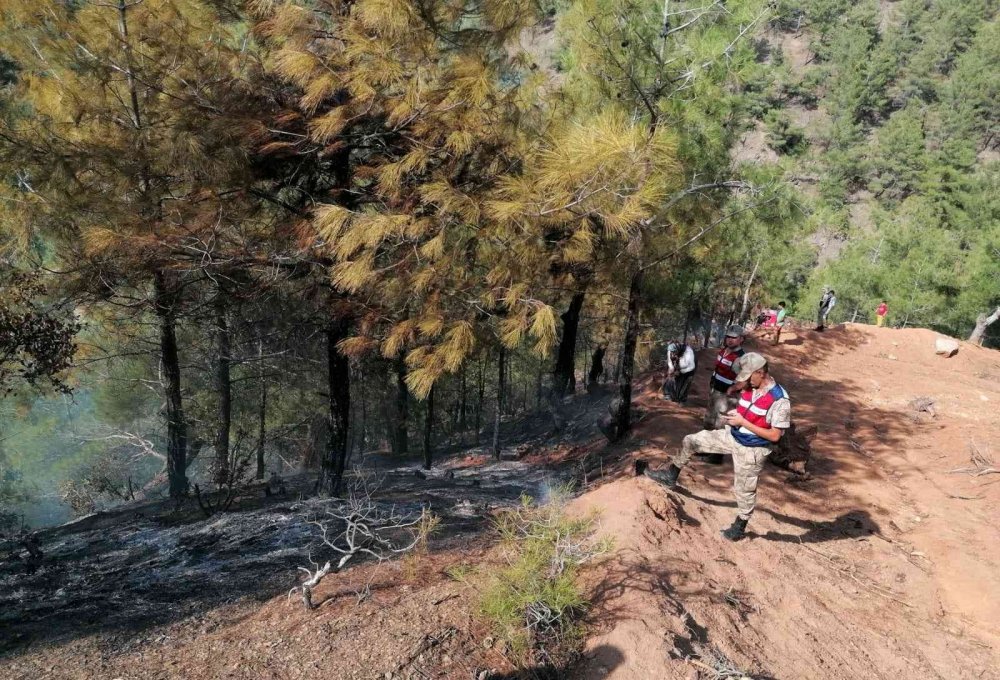 Hatay’da orman yangını! Hava ve karadan müdahale devam ediyor