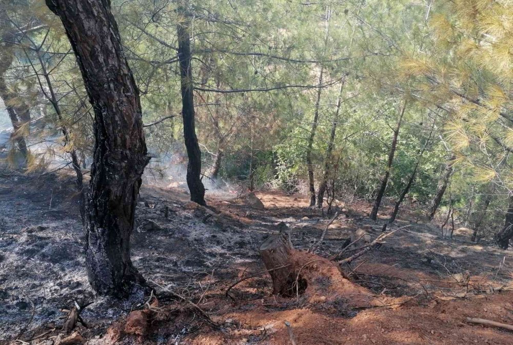 Hatay’da orman yangını! Hava ve karadan müdahale devam ediyor
