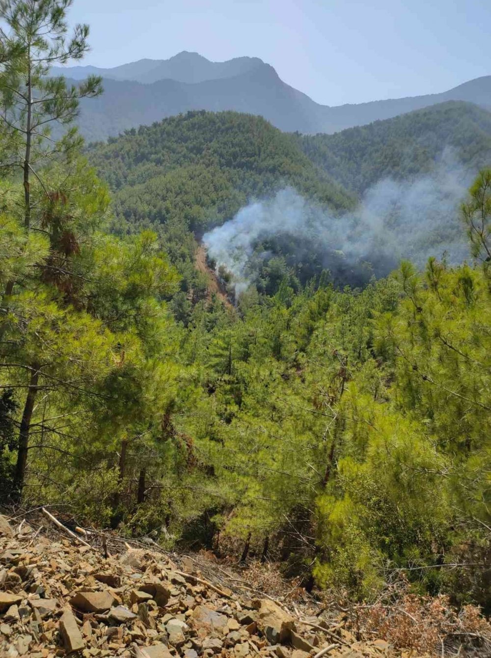Hatay’da orman yangını! Hava ve karadan müdahale devam ediyor