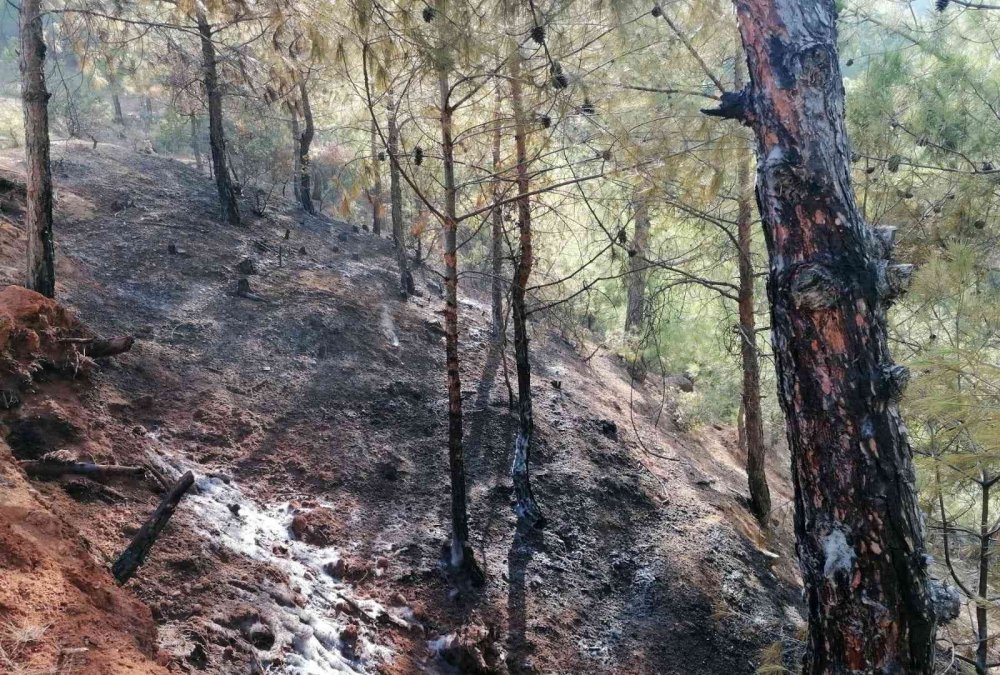 Hatay’da orman yangını! Hava ve karadan müdahale devam ediyor