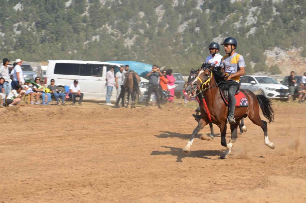 Konya'dan giden rahvan atlar Antalya’da nefes kesti! Beyşehirli Erdal Poyraz'a özel atçılık nişanı verildi