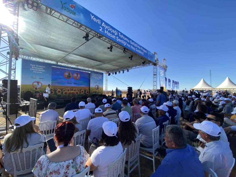 Konya haber! Yerli Ayçiçeği Tohumu Geliştirme ve Çiftçi Destekleme Projesi 2'inci yılında devam ediyor