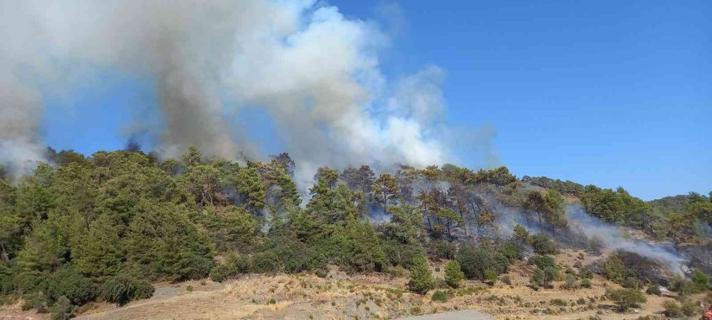 Antalya’daki orman yangını söndürüldü! Çıkış sebebi araştırılıyor