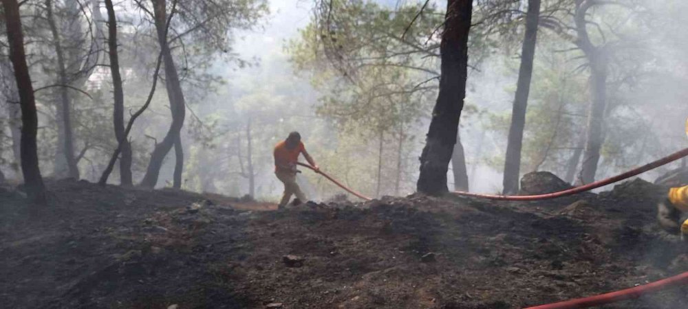 Antalya’daki orman yangını söndürüldü! Çıkış sebebi araştırılıyor