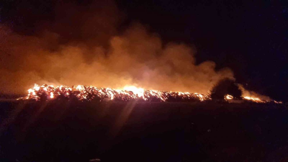 Adana'da alevler geceyi aydınlattı! Milyonluk balyalar küle döndü, müdahale sürüyor..