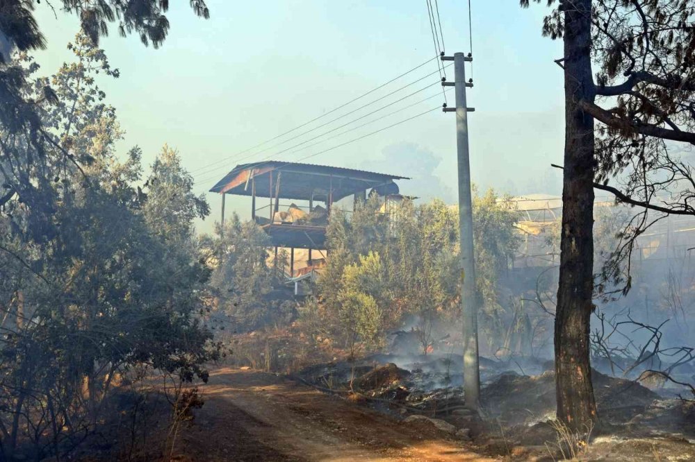 Antalya’daki orman yangını kontrol altına alındı! 3 ev ve seralar zarar gördü