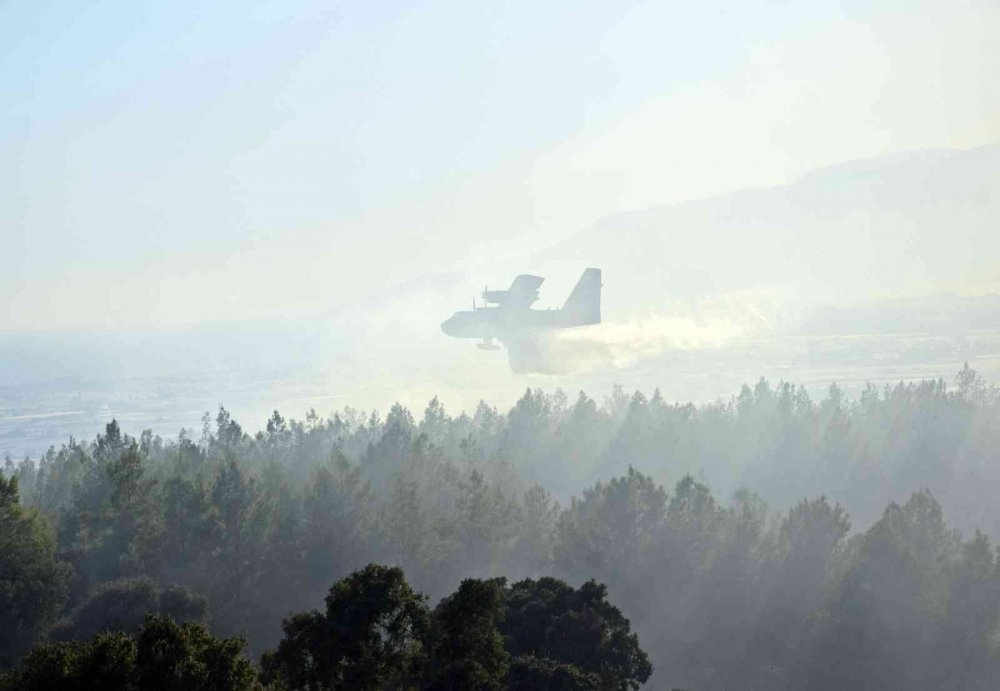Antalya’daki orman yangını kontrol altına alındı! 3 ev ve seralar zarar gördü
