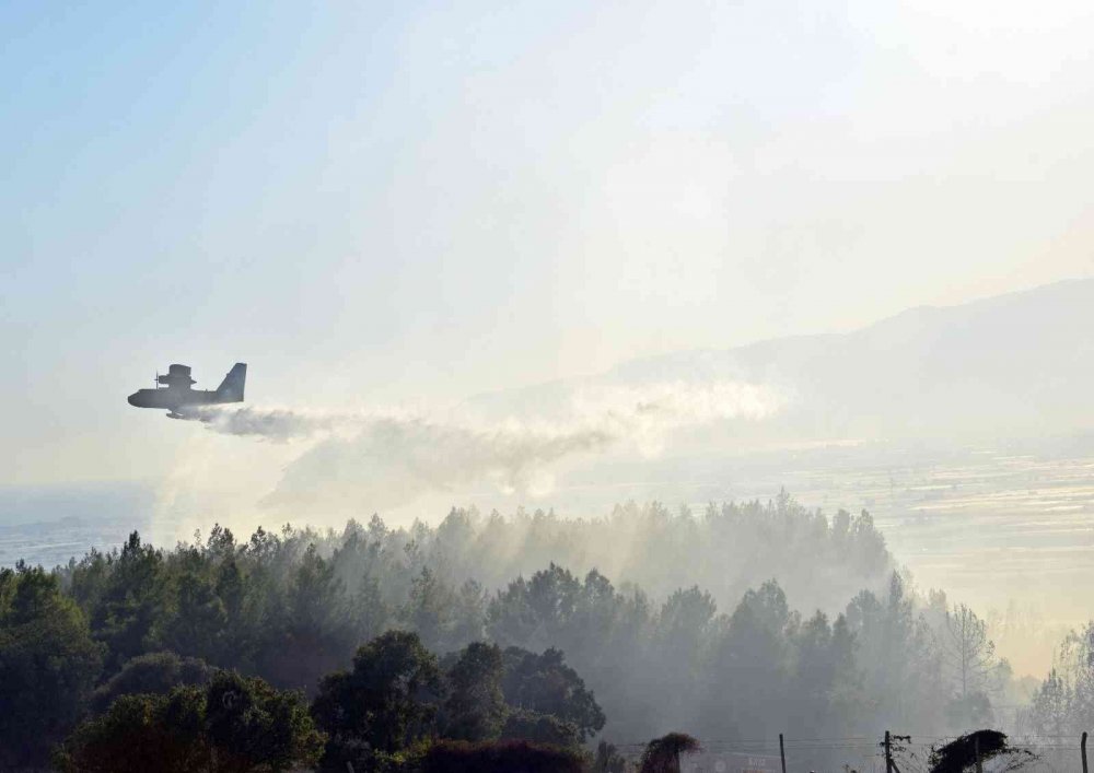 Antalya’daki orman yangını kontrol altına alındı! 3 ev ve seralar zarar gördü