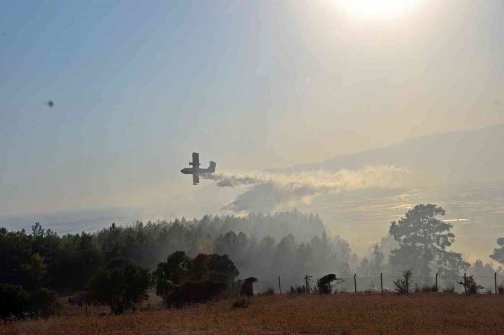 Antalya’daki orman yangını kontrol altına alındı! 3 ev ve seralar zarar gördü