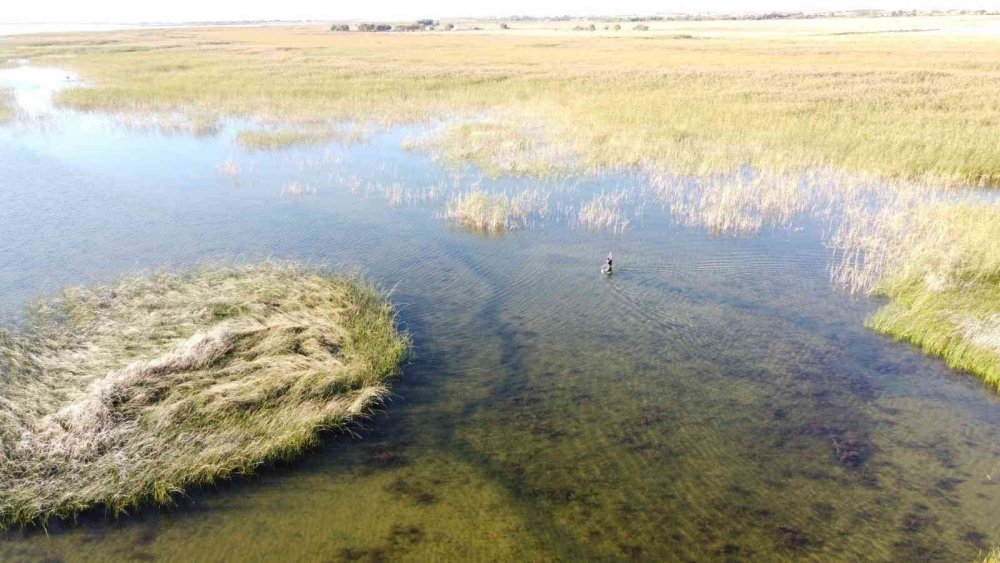 Konya haber! Rahvan at yarışlarında jokey düştü! Kaybolan at saatler sonra böyle bulundu