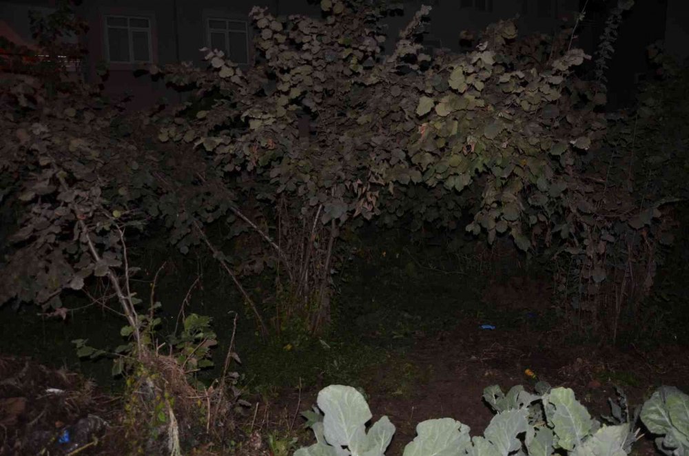 Yeni doğmuş bebek toprağa gömülü halde bulundu! 2 gözaltı