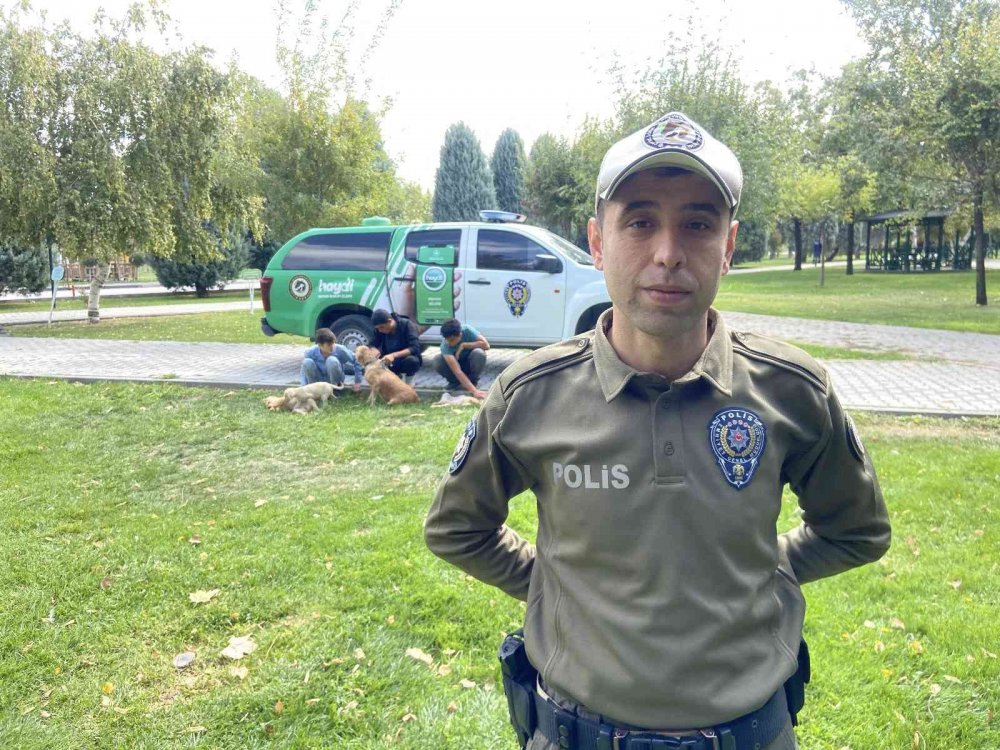 Les animaux à Konya sont sous protection policière !  La plupart des rapports d'élevage de races interdites