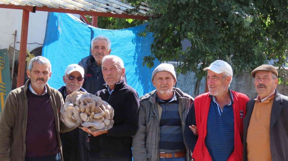 Konya'da çobanın ağaç gövdesinde bulduğu 5 kiloluk dev mantar hayrete düşürdü!