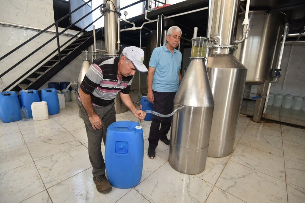 Konya'nın yeni markası Karatay Lavantası turizmin yanında üretim ekonomisine de katkı sağlıyor