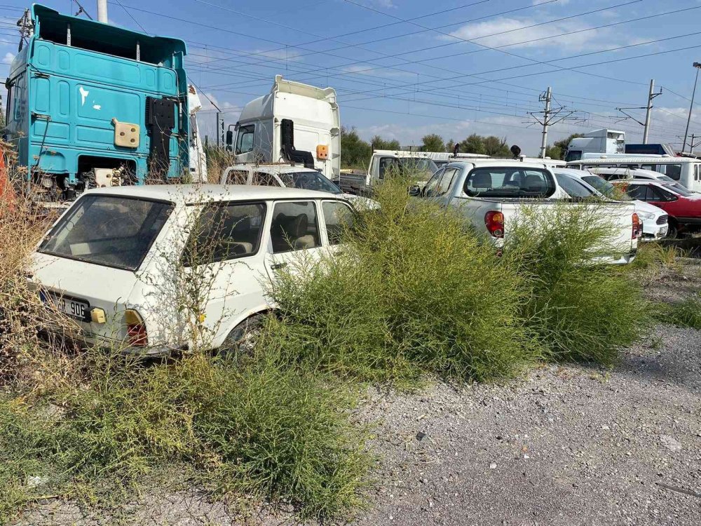 Yediemin otoparkında servet yatıyor! Lüks araçlar çürümeye yüz tuttu