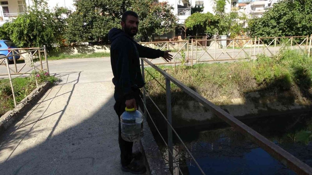 Manavgat’ta balık ölümleri korkuttu!