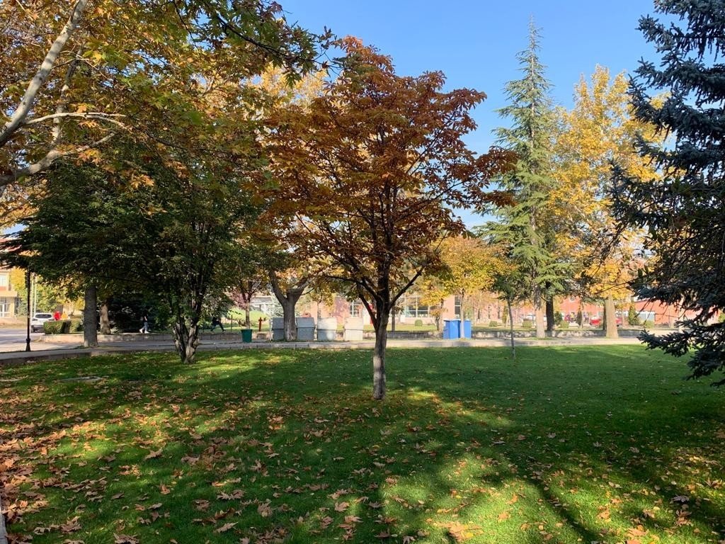 Anadolu Üniversitesi’nde eşsiz sonbahar manzaraları