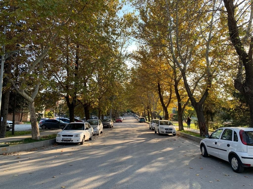 Anadolu Üniversitesi’nde eşsiz sonbahar manzaraları