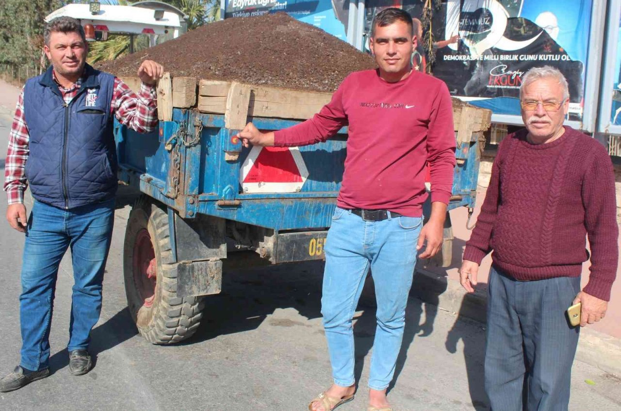 Üzüm bağlarına doğal gübre