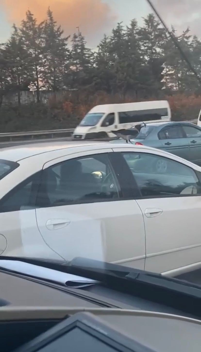 Sancaktepe’de araç üzerinde karganın yolculuğu görenleri şaşkına çevirdi