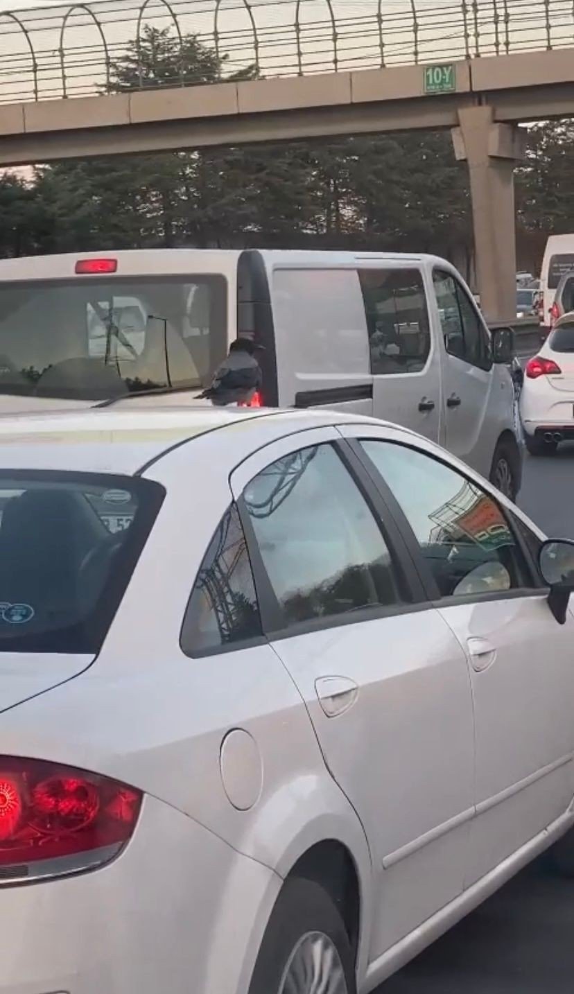 Sancaktepe’de araç üzerinde karganın yolculuğu görenleri şaşkına çevirdi